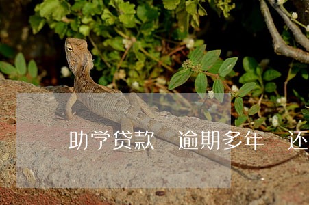 助学贷款 逾期多年 还款 助学贷款 逾期多年 还款